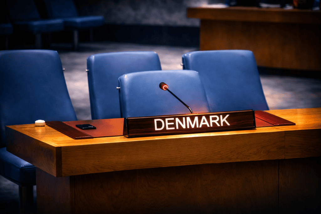 Danmark er i Sikkerhedsrådet. Hackerne ved det.